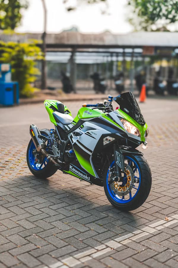 Kawasaki Ninja 300